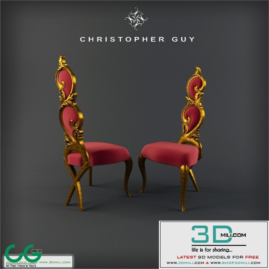 CHRISTOPHER GUY 60-0072